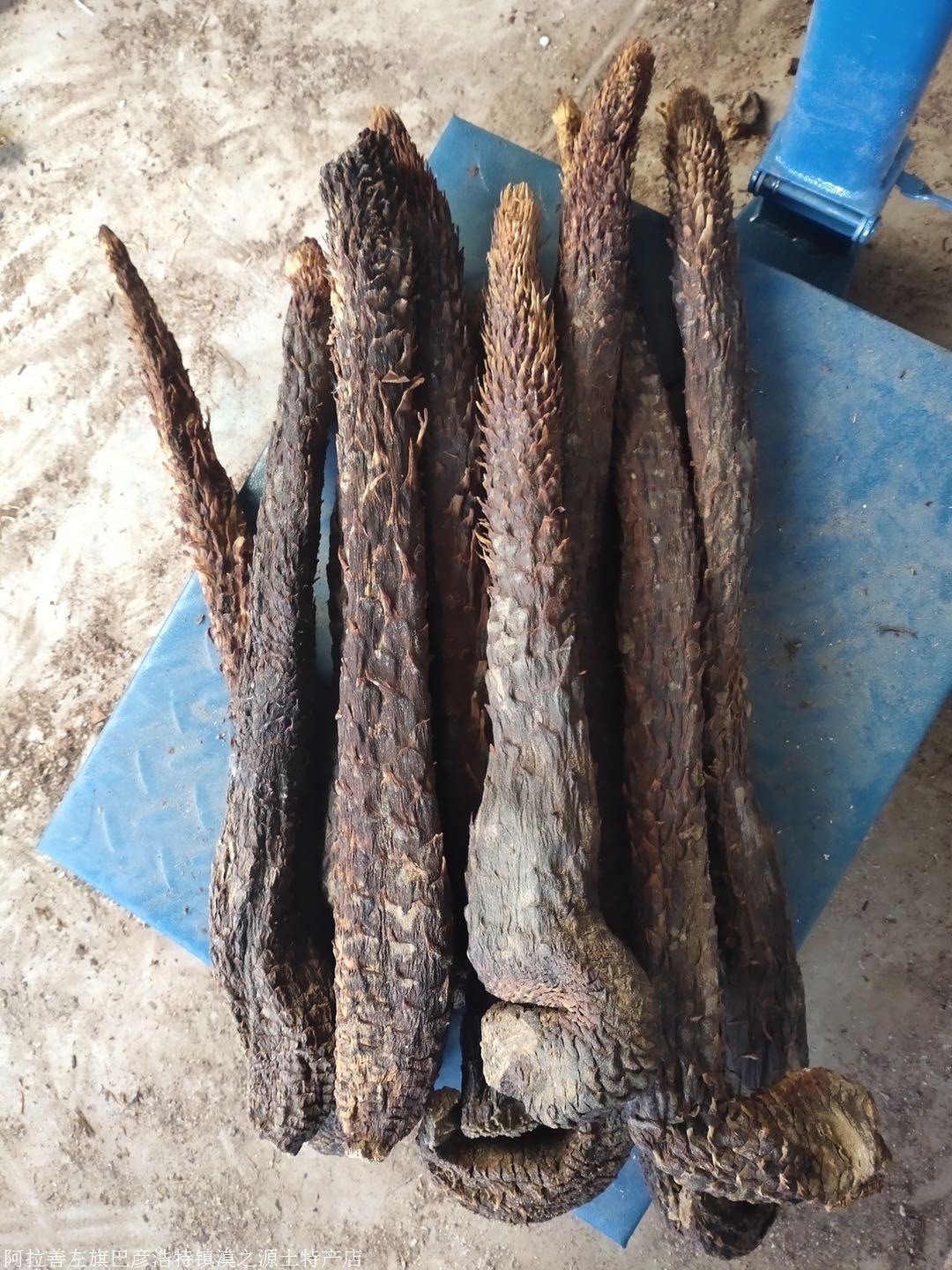 苁蓉价格背后的友情与陪伴，一段温馨故事