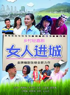 女人进城电视剧演员表大全及查看步骤指南