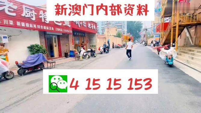 ＂2024澳门天天开好彩免费大全＂的：科学分析解释说明_DIY版2.32