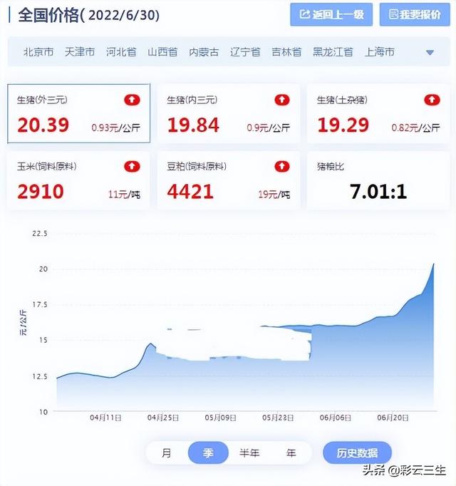 今日全国猪市行情深度解析，巷弄风情的独特视角