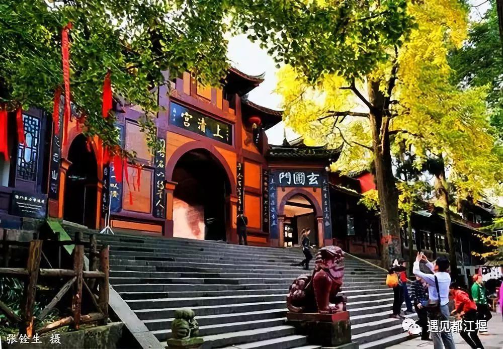 宋先生喜得贵子，新手父母指南最新章节发布