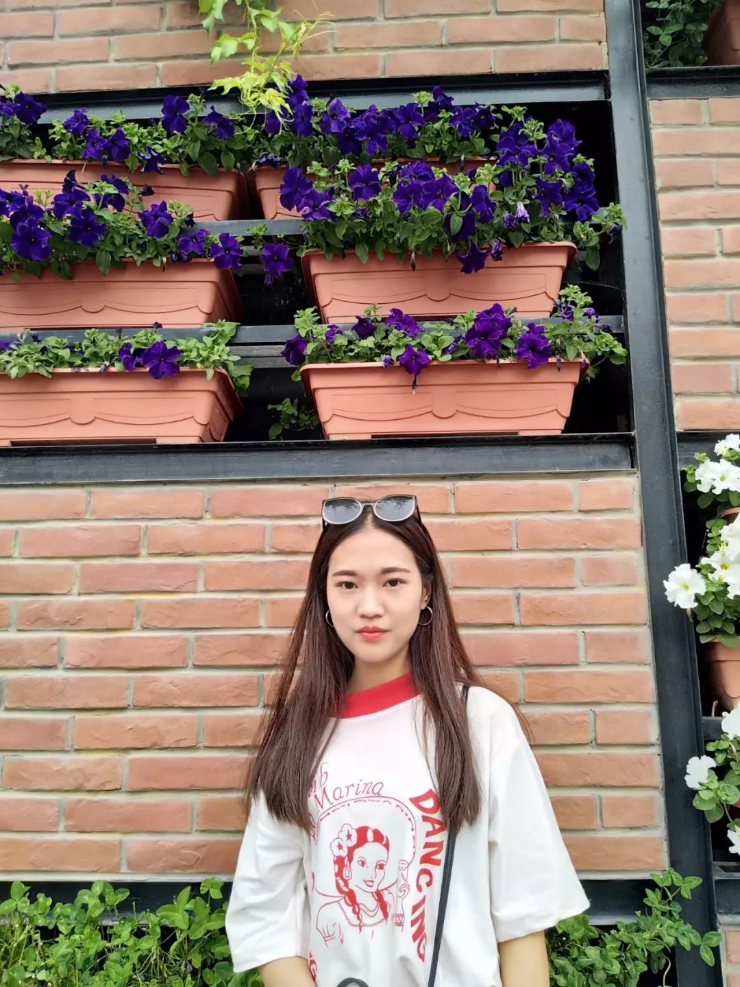 最新发现优质大学，开启人生知识巅峰之旅！