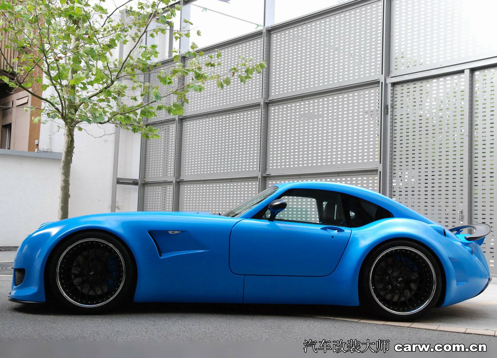 威兹曼新品，日常温馨之选