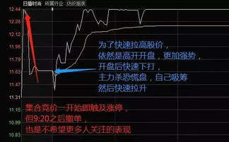 股票竞价，时代舞台与市场脉搏的同步律动