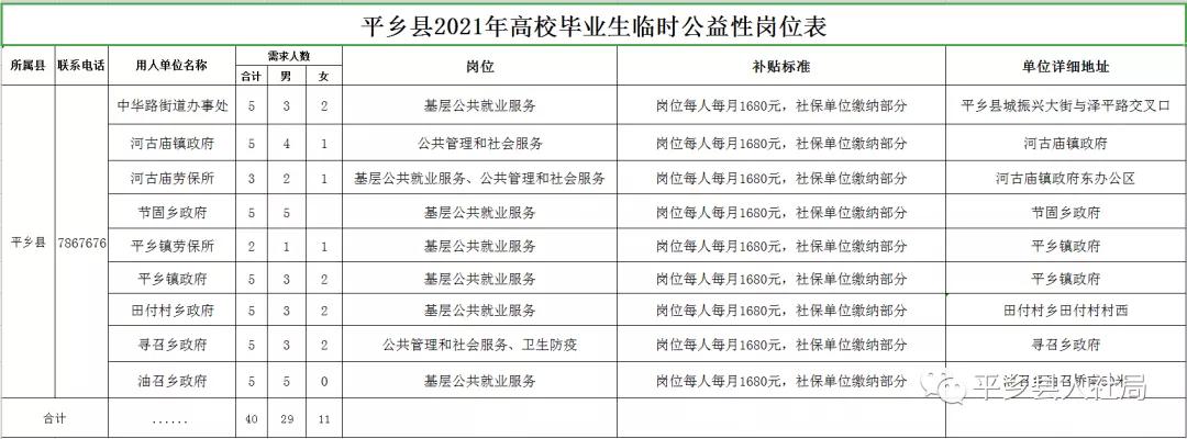 平乡最新招聘热点及观点论述
