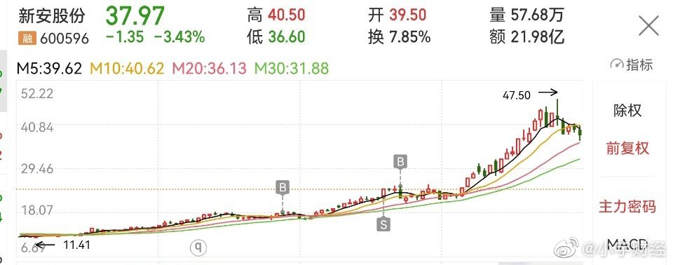 新安股份最新利好，自然美景探索之旅启程