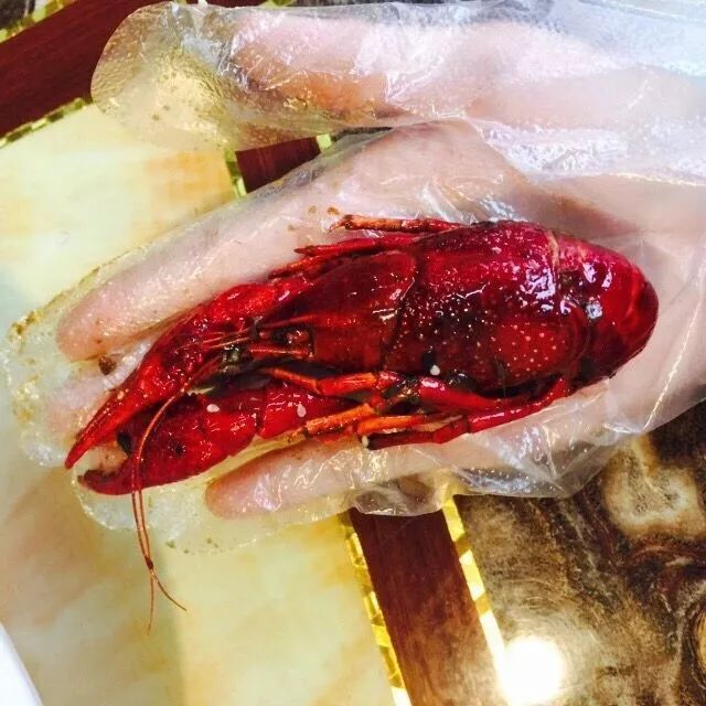 探索海鲜美食新潮流，最新海鲜贼热门美食推荐