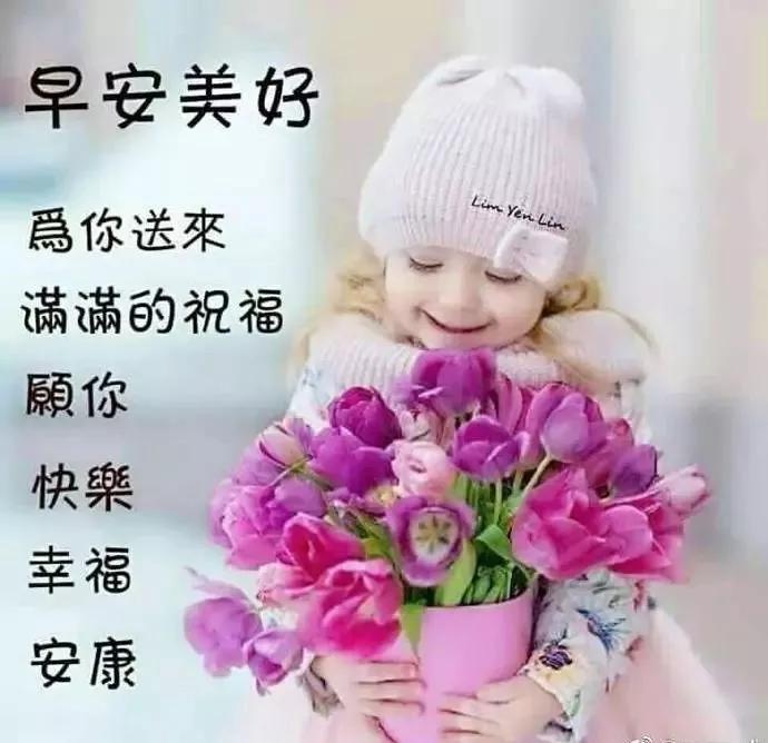 自然美景治愈之旅，探索最新同义词的魅力