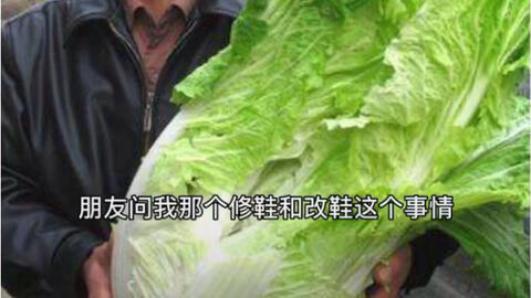 科技引领生活新风尚，最新开户送白菜活动开启！