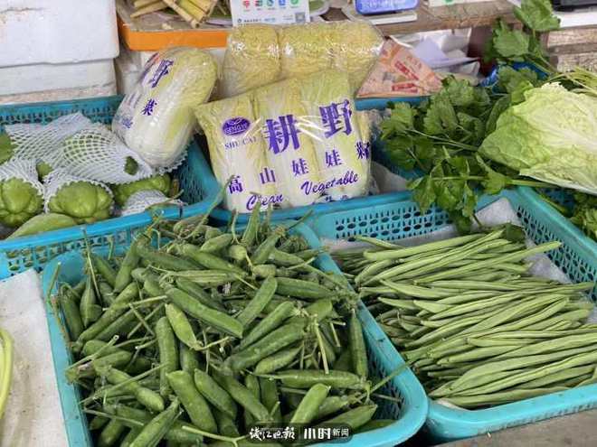 全国莴笋价格最新行情，美食与友情的温馨之旅
