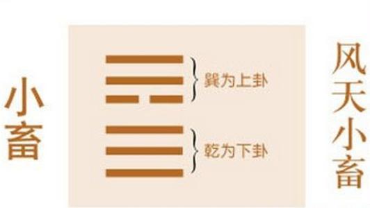 最新奇妙真相讲道视频，探索真理的旅程