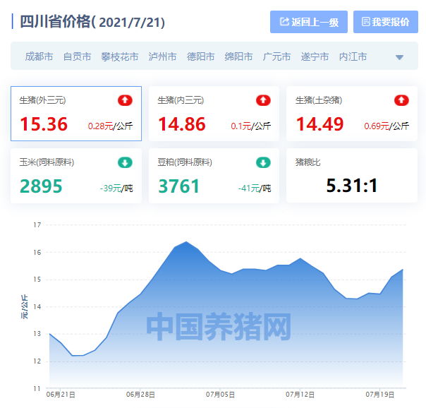 四川今日生猪价格动态，变化中的学习成长与自信的力量