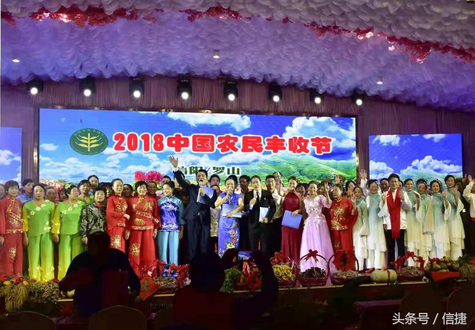 东望集团最新动态深度解析与观点阐述