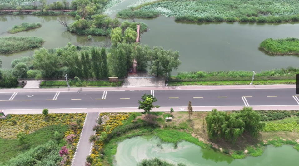 九州洼湿地公园最新探访，自然之旅的温馨篇章