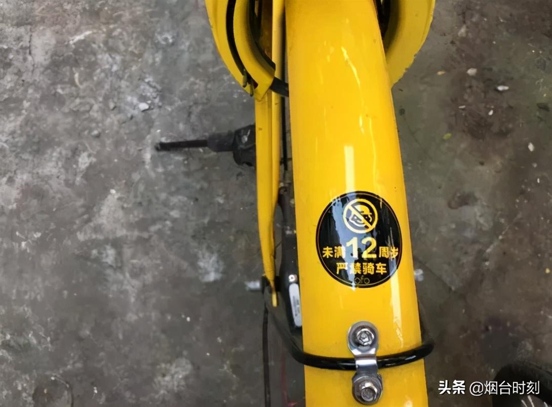 烟台共享汽车最新动态更新