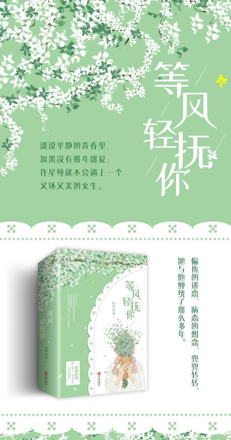 风轻最新小说深度解析与热议概览