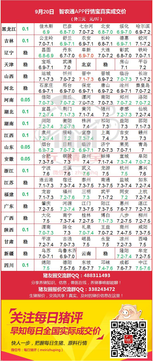 最新猪价格概览与分析