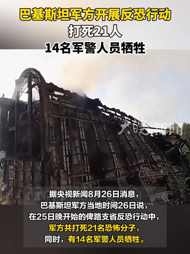 揭秘现代战争中的背棺作战，特殊战术与策略的最新动态