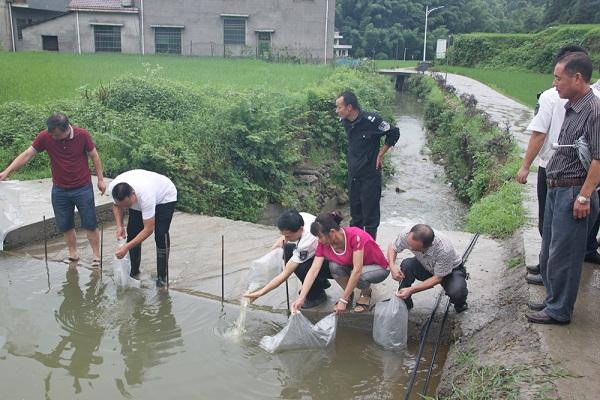 桃江县最新动态更新