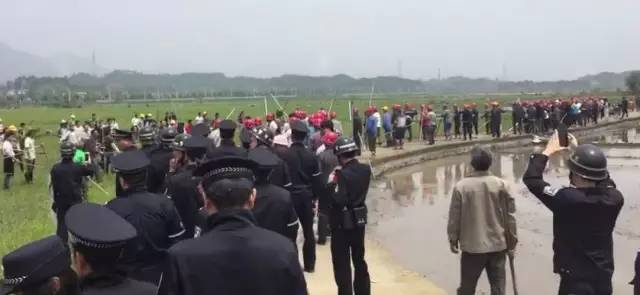 堰桥最新杀人事件与背后自然美景之旅的探究