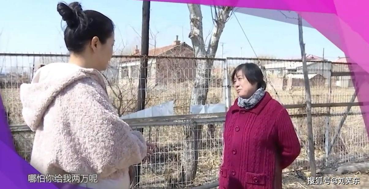 杨大爷最新动态揭秘，任务完成与技能学习指南的详细步骤手册
