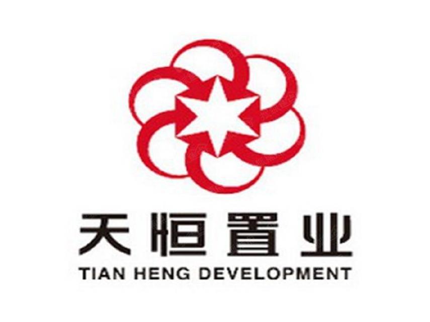 多维度视角下的恒天集团审视与观点碰撞